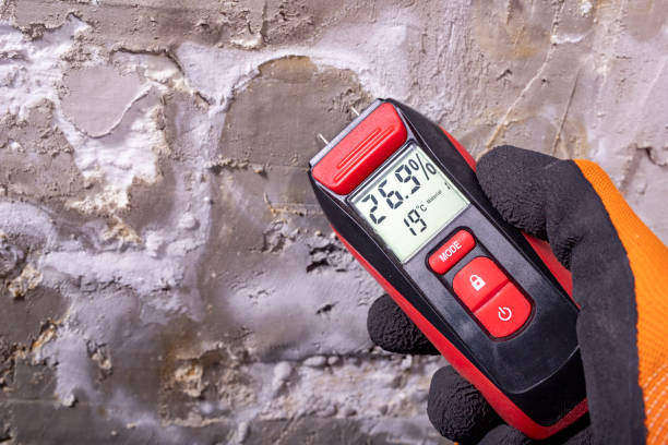 Reliable Chico, TX Mold Removal Solutions