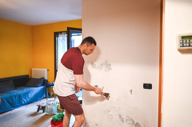Mold Testing and Removal in Chico, TX